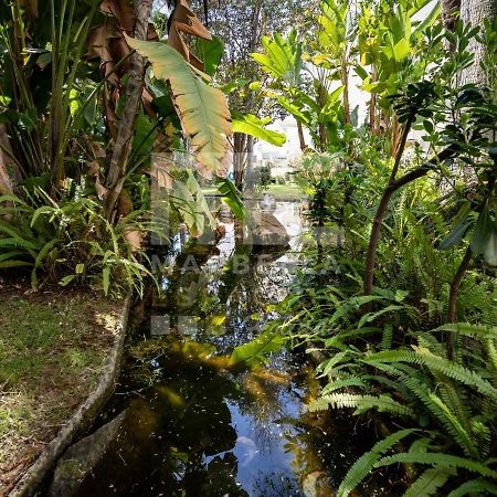 Lovely Apartment Marbella Center Garden Views 130 Zewnętrze zdjęcie